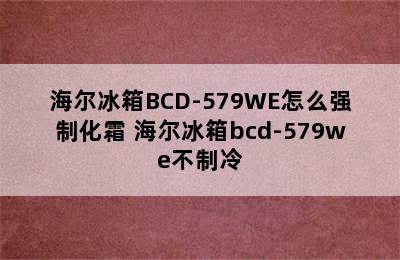 海尔冰箱BCD-579WE怎么强制化霜 海尔冰箱bcd-579we不制冷